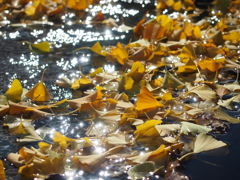 Shine!