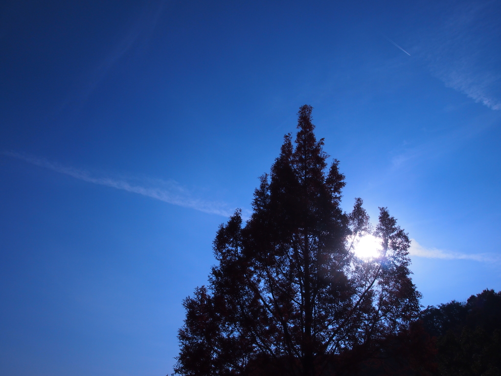 Back Light Blue