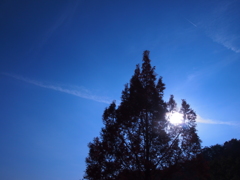 Back Light Blue