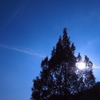 Back Light Blue