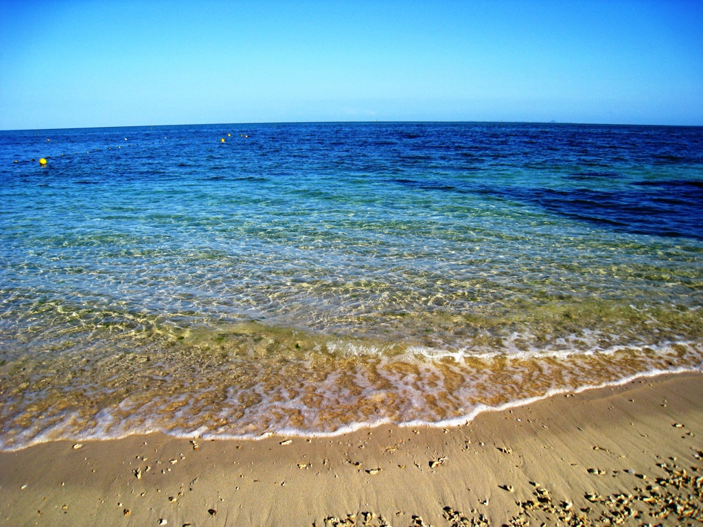 砂浜