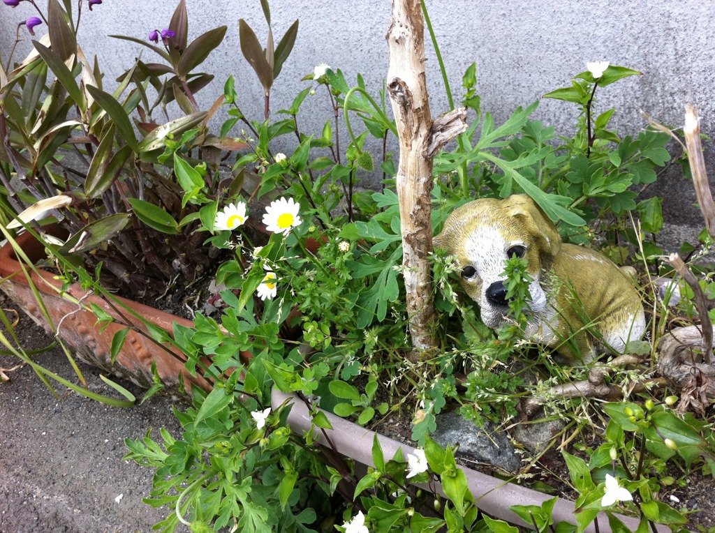 うえきの中ー