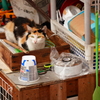 雨宿りの島猫
