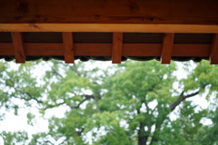 雨宿り