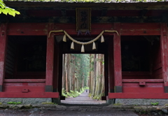 戸隠神社（奧社）参道