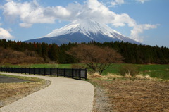 散歩道