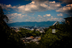 IMG_5143B