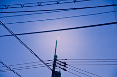 IMG_4935A