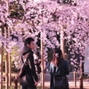 桜の下の恋人