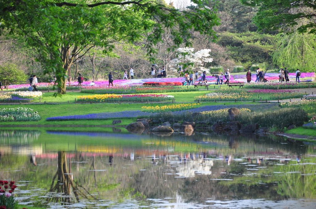 spring　life
