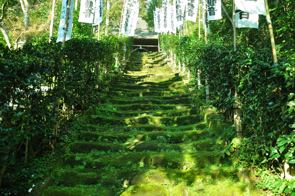 苔の石段