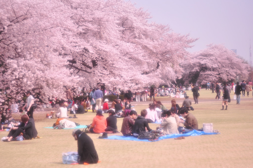 花見の客でいっぱい