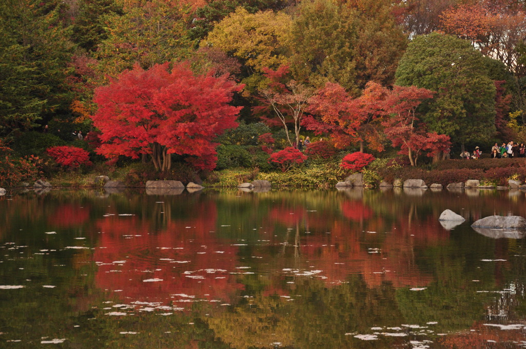 紅葉の季節