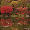 紅葉の季節
