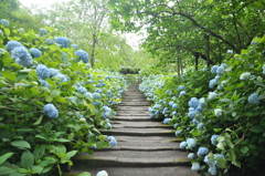 blueflour　load　－その②－