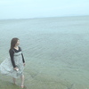 海