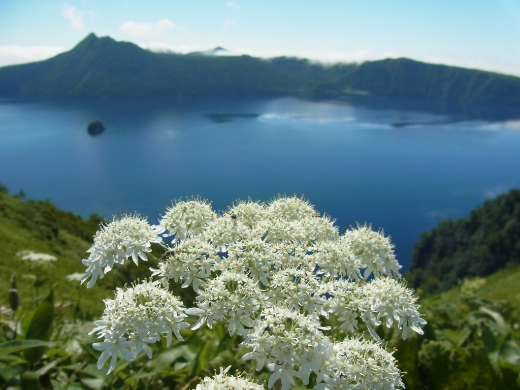 湖、花