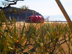 setouchi_02