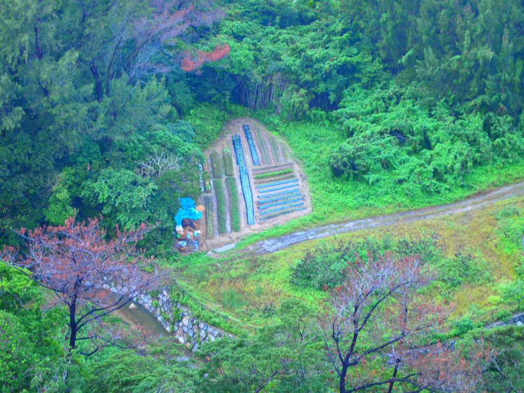 okinawa_04