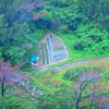 okinawa_04