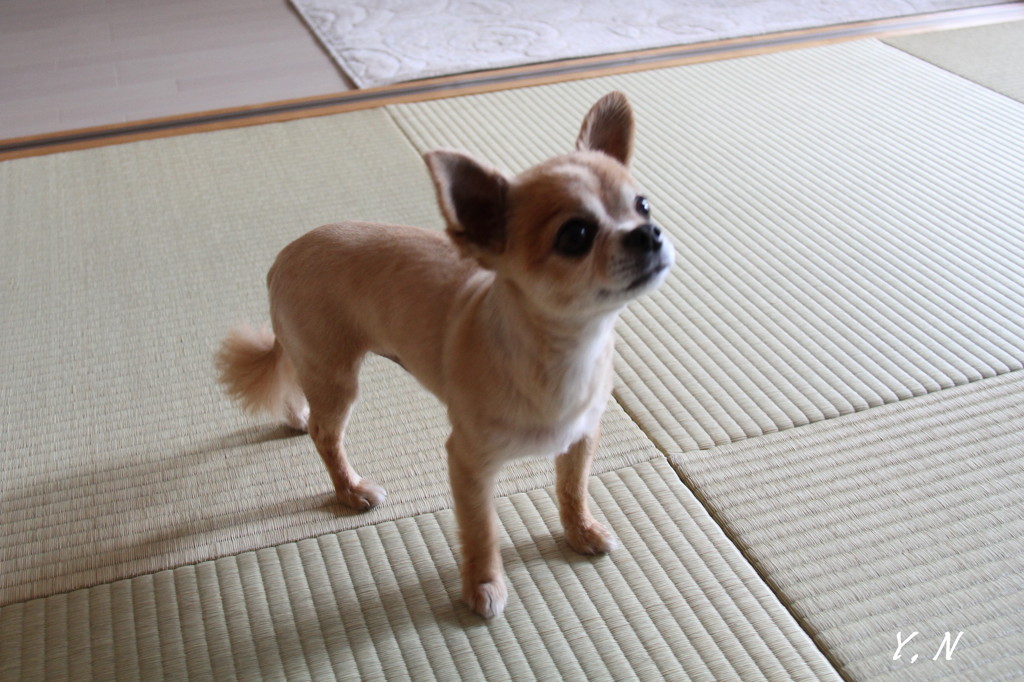 バビちゃん裸