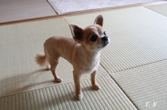 バビちゃん裸