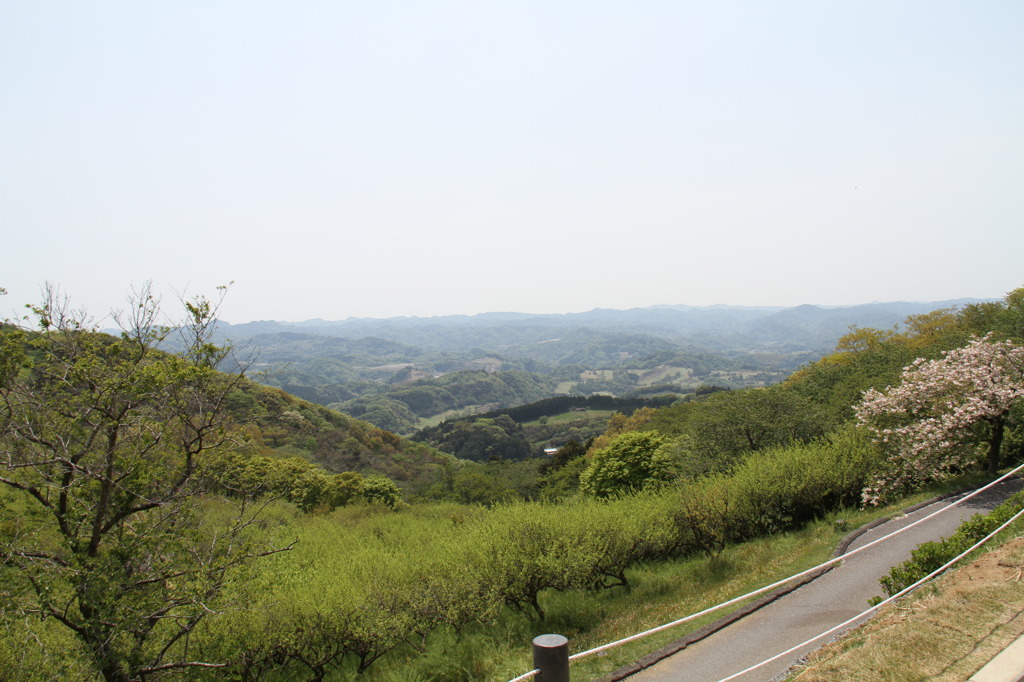 谷を望む