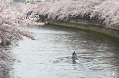 大岡川