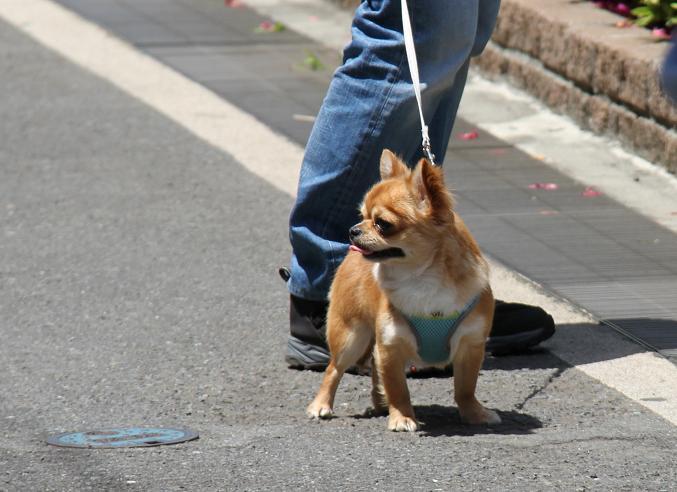 鍛えてますか？