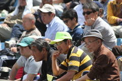 高校野球観戦