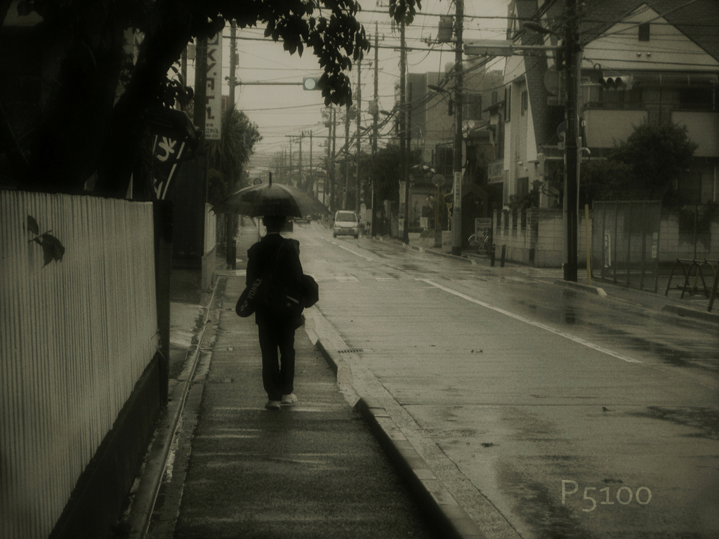 今日も雨