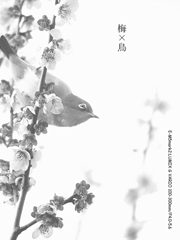 梅×鳥