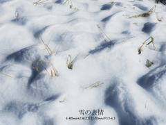 雪の陰影