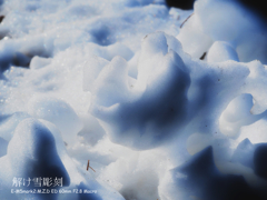 解け雪の彫刻
