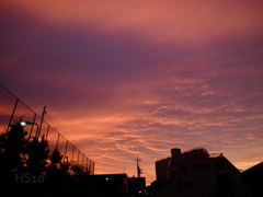 夕景（10/19）