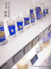深海展に行って来ました