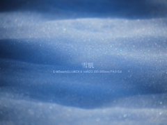 雪の海