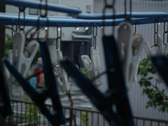 あいにくの天気
