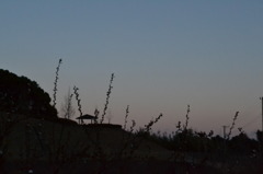 2011.3.11 夕方