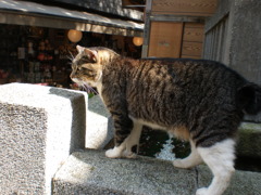 おさんぽ。
