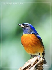 IMG_4938