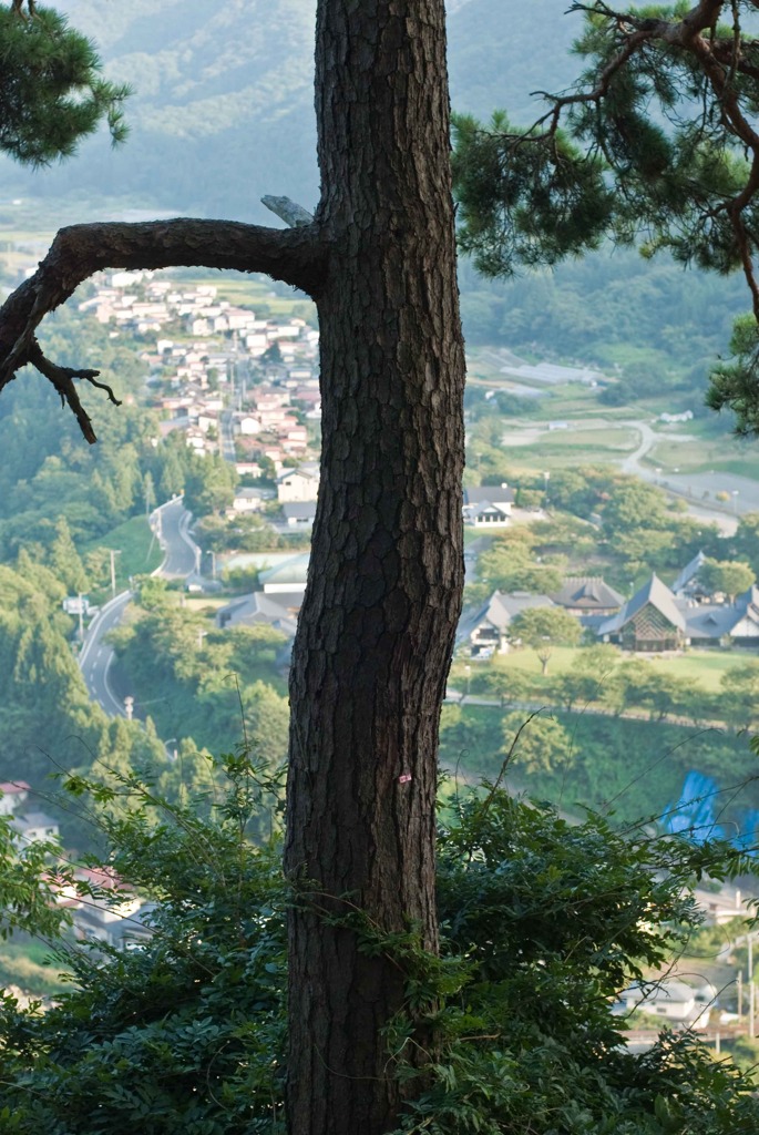 山寺