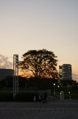 夕景の中の木のシルエット