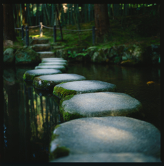 Stepping Stones