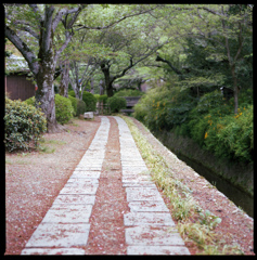 哲学の道