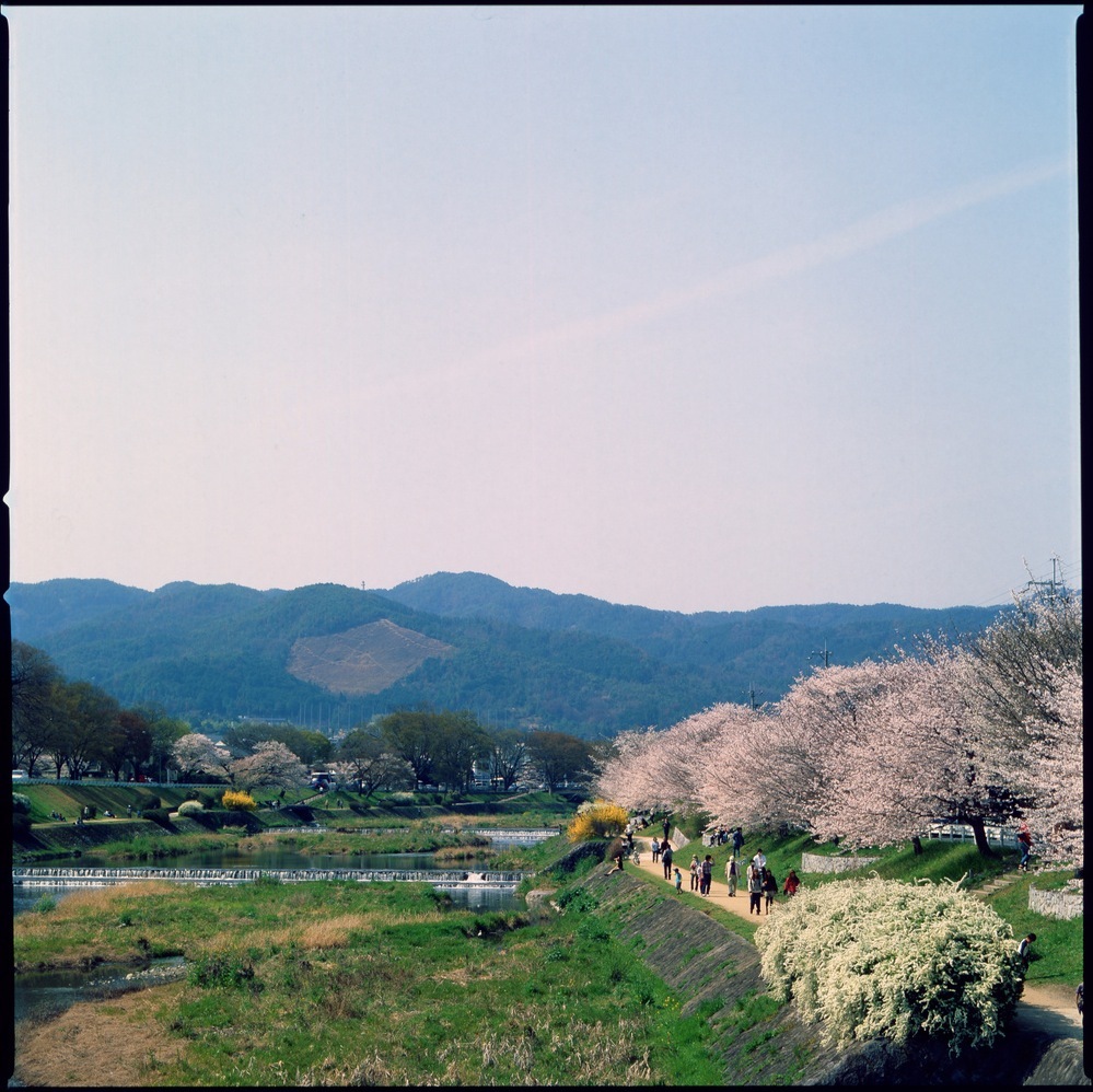 上賀茂橋から北方を望む