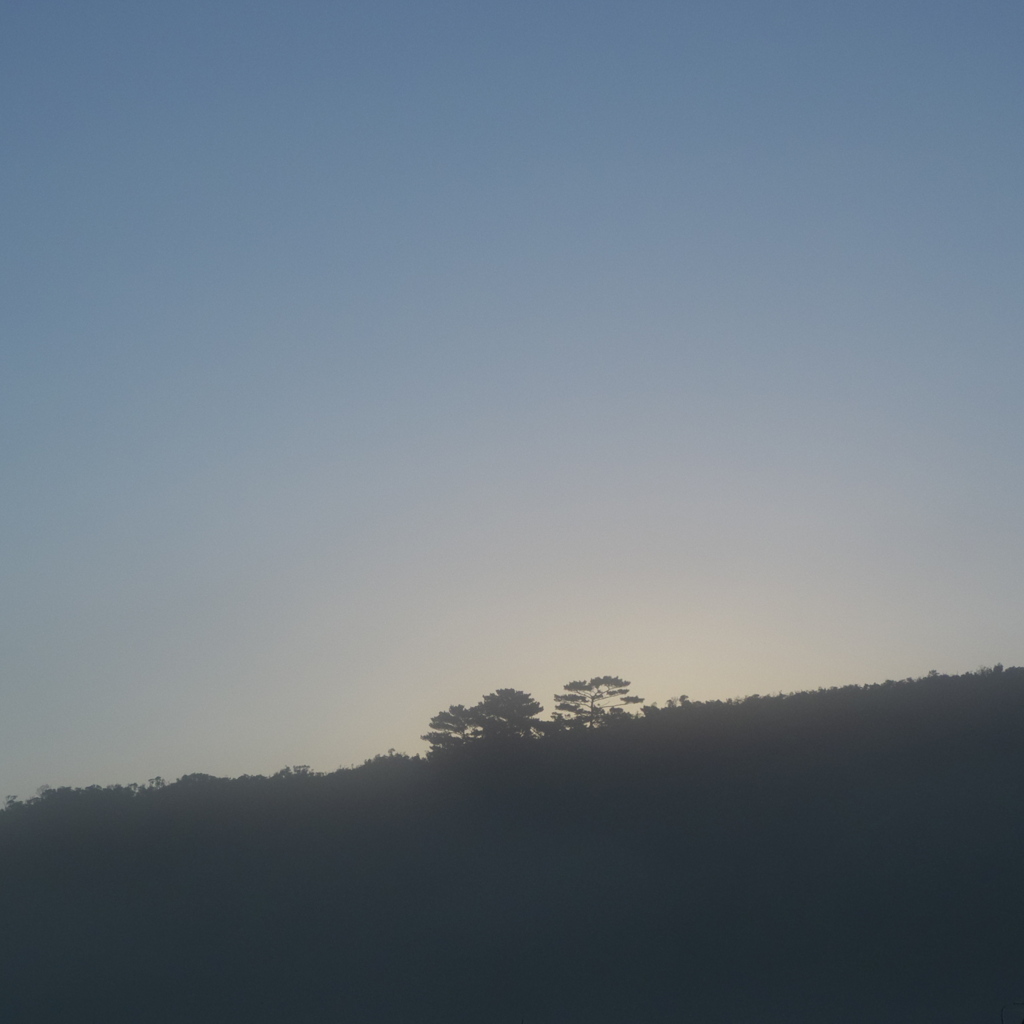 朝霧　稜線