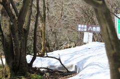 三重県　藤原岳　八合目付近