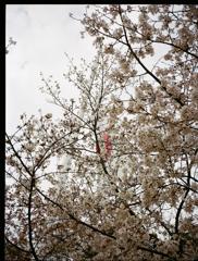 休憩も必要だ