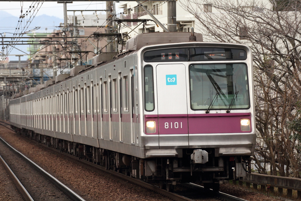 東京メトロ　8000系